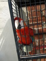 My Gallery (39/205)
